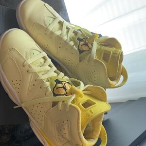 Air Jordan 6 retro